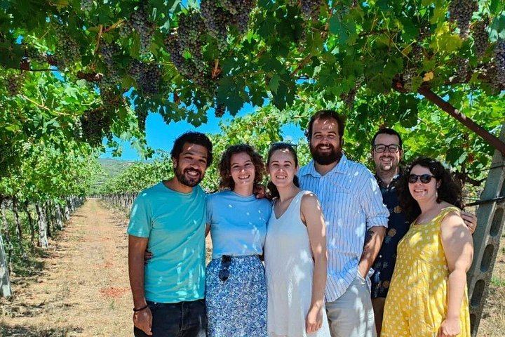 Pagus Half-Day Amarone Wine Tour from Verona with San Giorgio di Valpolicella Stop (7/7)