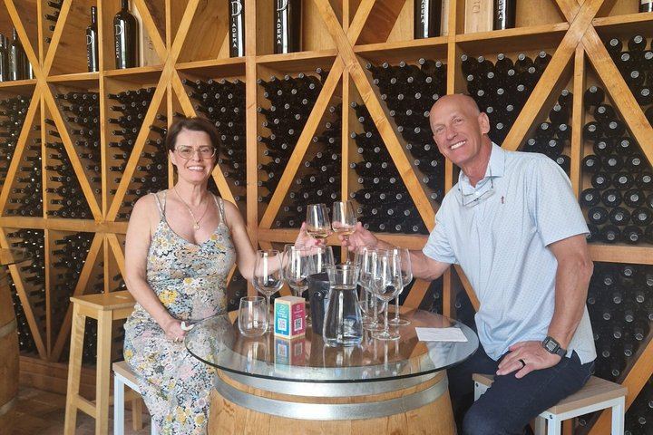 Diadema Super Tuscan Tasting in Impruneta: Winery Tour, Olive Mill and Olive Oil (4/12)