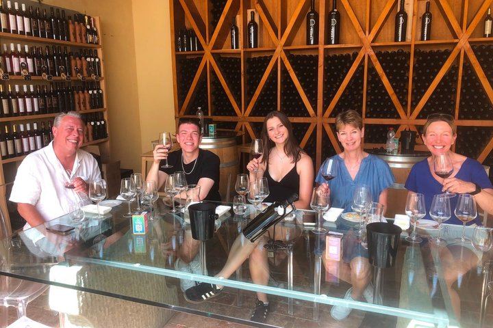 Diadema Super Tuscan Tasting in Impruneta: Winery Tour, Olive Mill and Olive Oil (5/12)