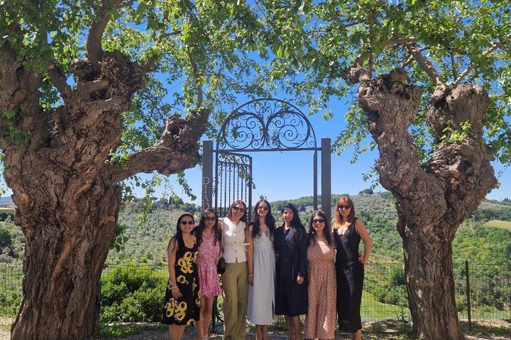 Diadema Super Tuscan Tasting in Impruneta: Winery Tour, Olive Mill and Olive Oil (11/12)