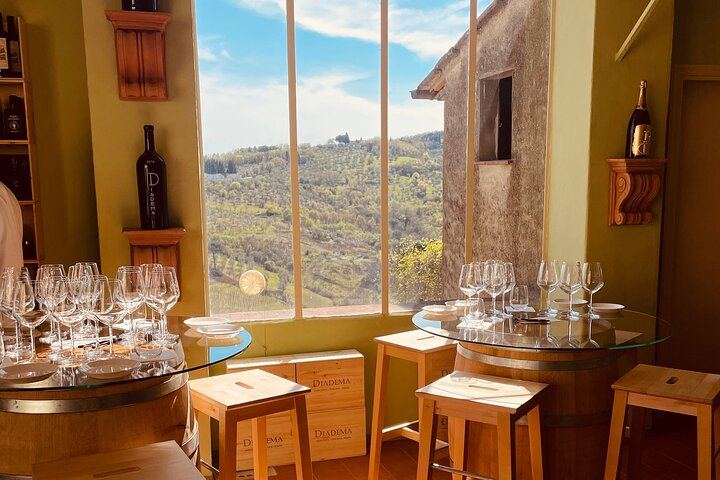Diadema Super Tuscan Tasting in Impruneta: Winery Tour, Olive Mill and Olive Oil (8/12)