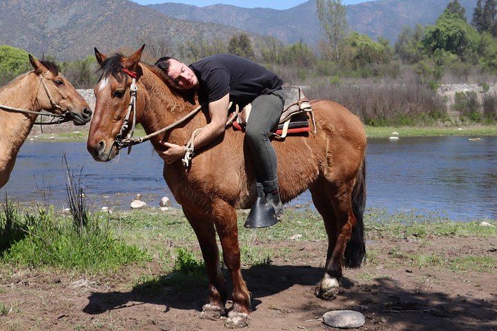 Private Horseback Wine Tour from Santiago: Organic Wine and Country Grill (10/12)