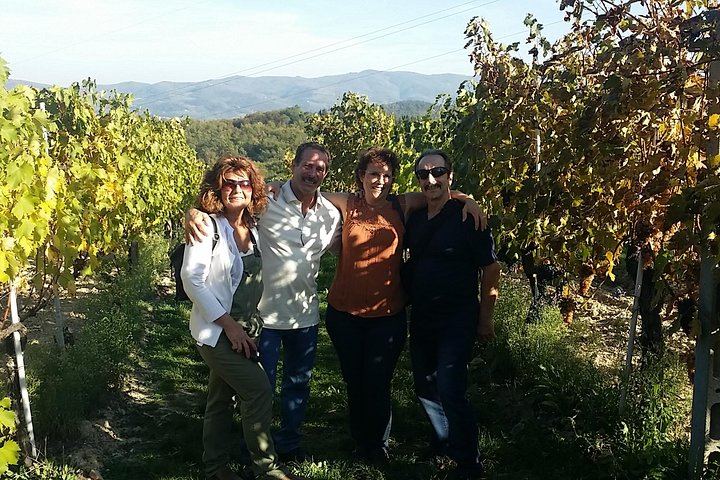 Organic and Biodynamic Chianti Small Family Wineries: Greve, Montefioralle and Two Estates (3/11)