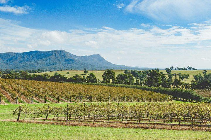 Small-Group Hunter Valley Wine and Cheese Day Tour from Sydney, Pokolbin Boutique Wineries (10/12)