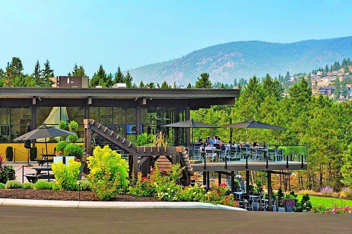 Kelowna or West Kelowna Afternoon Wine Tour by Mercedes Van, Up to 4 Hours (8/12)