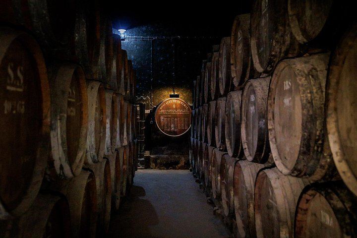 Small-Group Arrábida and Sesimbra Day Trip from Lisbon with Two Wine Tastings (9/11)
