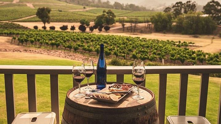 Ivanhoe Wines, Pokolbin: Seated Premium Wine Tasting with a Cheese Plate (3/5)