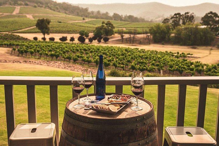 Ivanhoe Wines, Pokolbin: Seated Premium Wine Tasting with a Cheese Plate (3/5)
