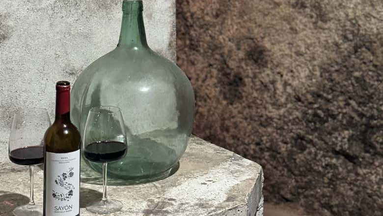 J.F. Iradier Winery Tour in Samaniego: 18th-Century Rock Cellars and Three Wines (4/8)
