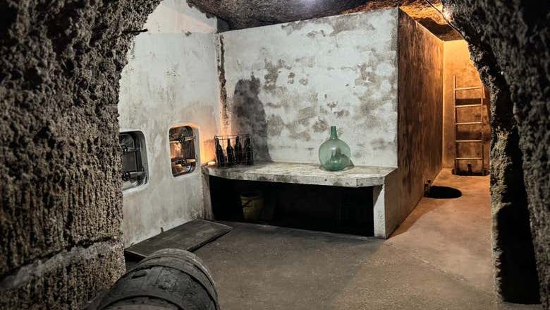 J.F. Iradier Winery Tour in Samaniego: 18th-Century Rock Cellars and Three Wines (3/8)