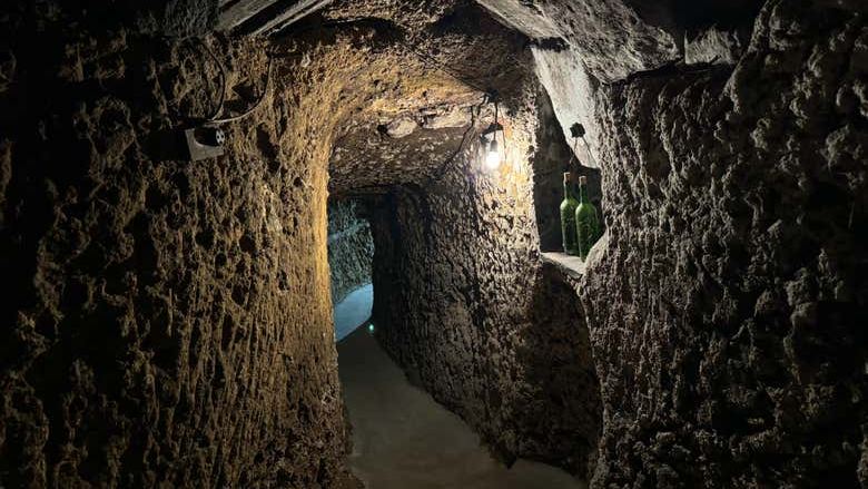 J.F. Iradier Winery Tour in Samaniego: 18th-Century Rock Cellars and Three Wines (1/8)