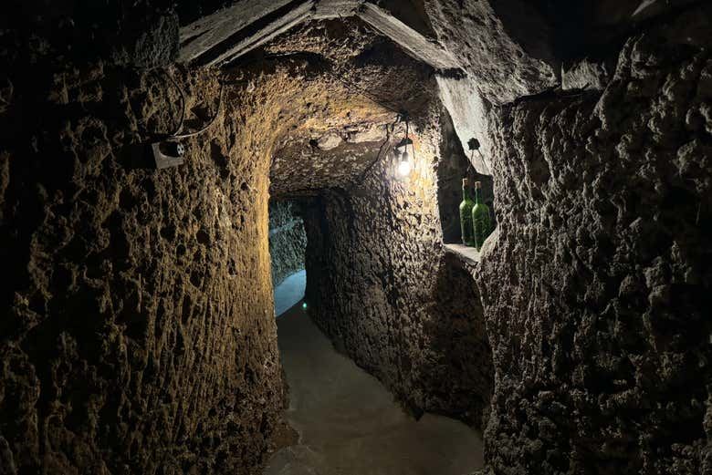 J.F. Iradier Winery Tour in Samaniego: 18th-Century Rock Cellars and Three Wines (1/8)