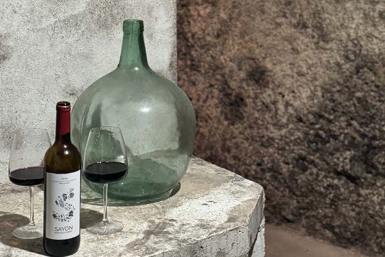 J.F. Iradier Winery Tour in Samaniego: 18th-Century Rock Cellars and Three Wines (4/8)