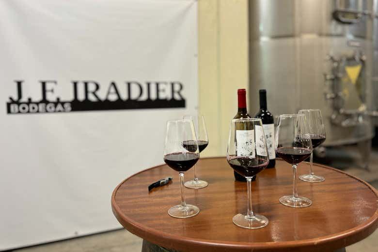 J.F. Iradier Winery Tour in Samaniego: 18th-Century Rock Cellars and Three Wines (7/8)