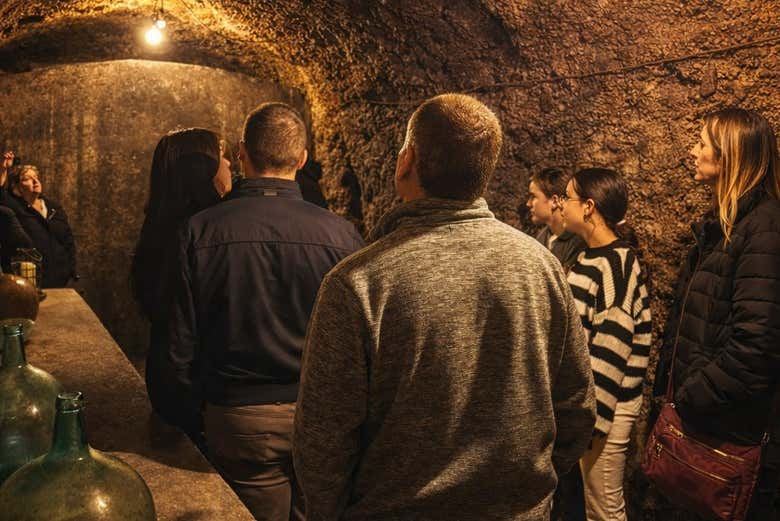 J.F. Iradier Winery Tour in Samaniego: 18th-Century Rock Cellars and Three Wines (8/8)