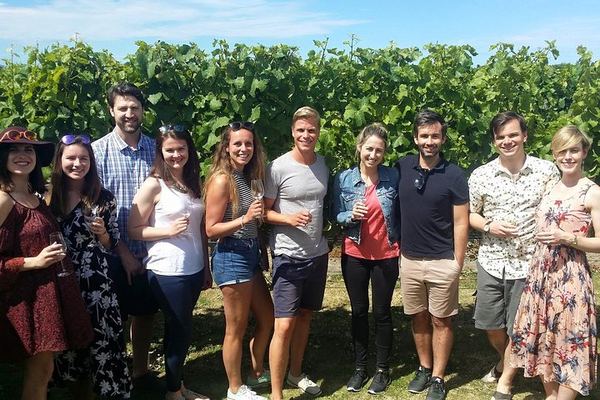 Half-Day Marlborough Wine Tour with a Winemaker Guide, 3-4 Wineries and Lunch