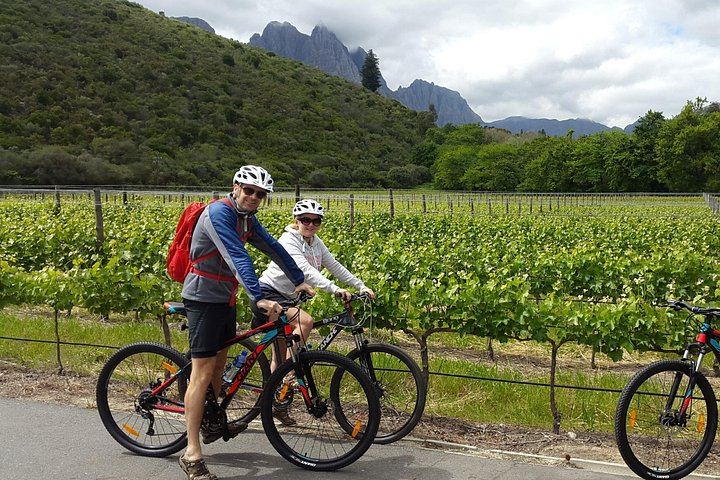 Guided Mountain Bike Tour of Stellenbosch with Lanzerac and Stark-Conde Wine Tastings (8/9)