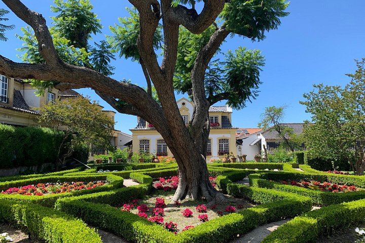 Setúbal Wine Tour 40 Minutes from Lisbon: Two Cellars and Moscatel Roxo Tasting (5/12)