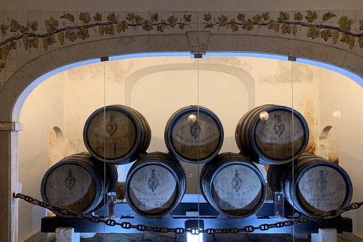 Setúbal Wine Tour 40 Minutes from Lisbon: Two Cellars and Moscatel Roxo Tasting (11/12)