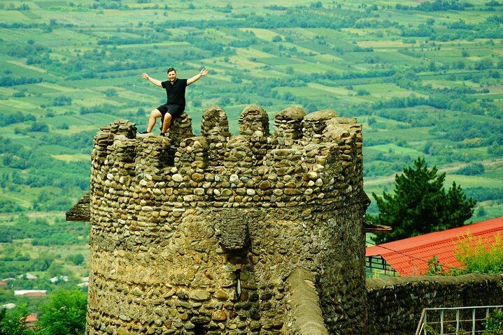 Private Tbilisi Day Trip: David Gareja, Kakheti Wine Cellar and Sighnaghi (5/12)
