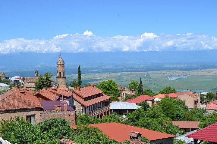 Kakheti Wine Tour from Tbilisi: Bodbe, Sighnaghi, Telavi and Ujarma Fortress (1/12)