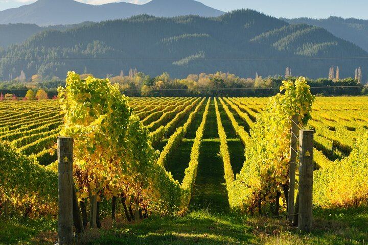 Kakheti Wine Tour from Tbilisi: Bodbe, Sighnaghi, Telavi and Ujarma Fortress (5/12)