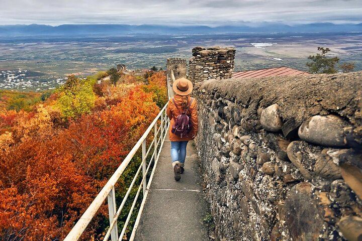 Kakheti Day Tour from Tbilisi: Bodbe, Sighnaghi, Family Winery Lunch and Telavi Drive (1/12)