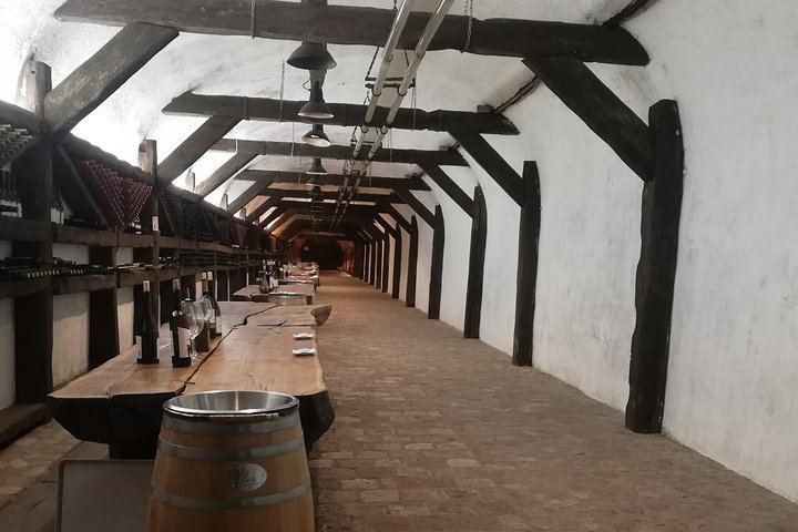 Kakheti Full-Day Private Tour: KTW, Badiauri Chacha, Sighnaghi and Khareba Tunnel (10/12)