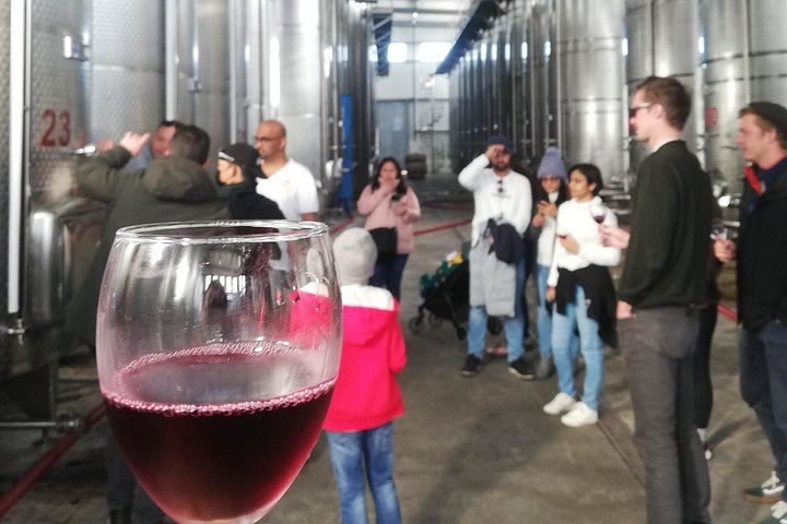 Kakheti Full-Day Private Tour: KTW, Badiauri Chacha, Sighnaghi and Khareba Tunnel (5/12)
