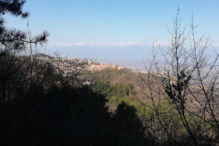 Kakheti Full-Day Private Tour: KTW, Badiauri Chacha, Sighnaghi and Khareba Tunnel (7/12)