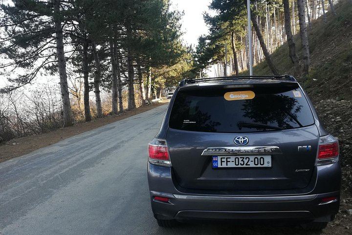 Kakheti Full-Day Private Tour: KTW, Badiauri Chacha, Sighnaghi and Khareba Tunnel (8/12)