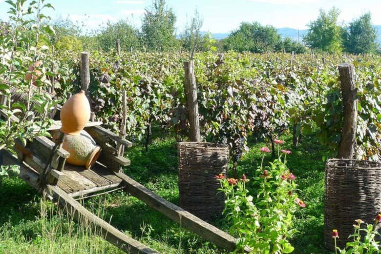 Kakheti Day Trip from Tbilisi: Bread Class, Bodbe, Signagi and 7 Wines (4/4)
