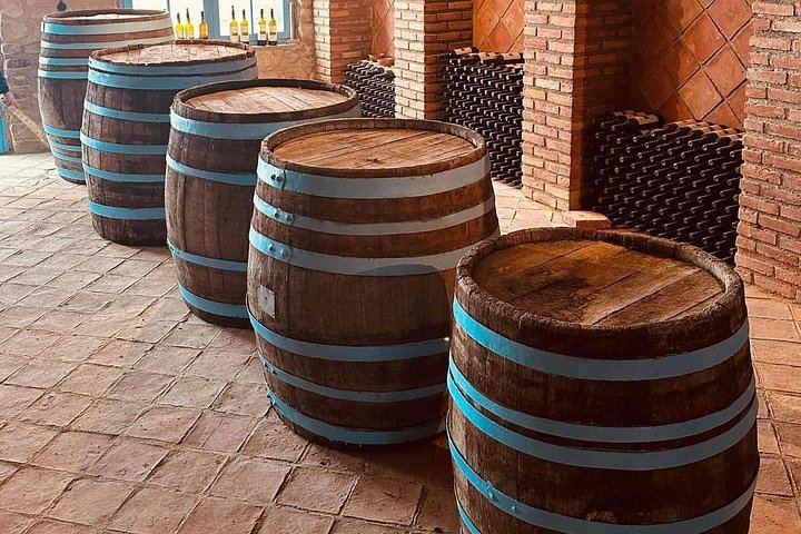 Kakheti Tour from Tbilisi: Shoti Bread, Churchkhela Masterclass and KTW Winery Tasting (11/12)