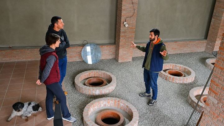 Private Kakheti Tour: Manavi Fortress, Vellino Family Cellar and Home-Cooked Lunch (1/12)