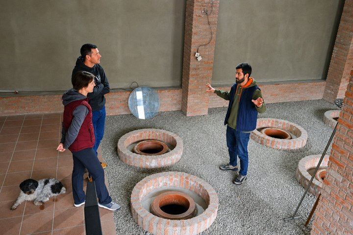 Private Kakheti Tour: Manavi Fortress, Vellino Family Cellar and Home-Cooked Lunch (1/12)