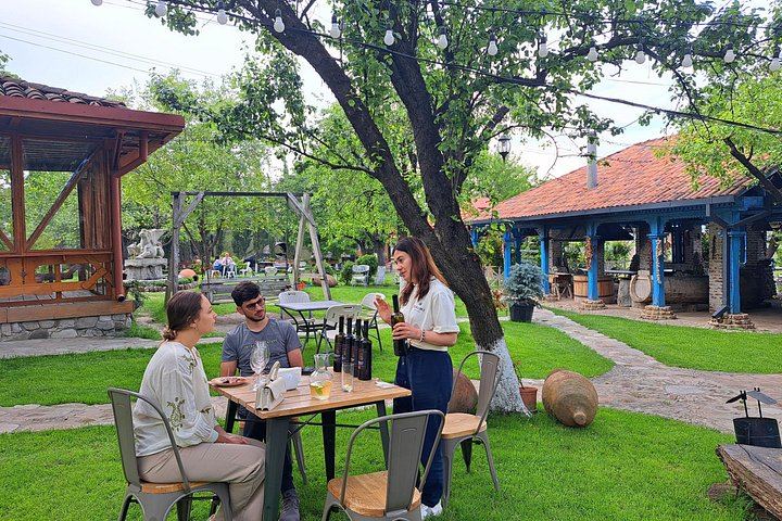 Private Kakheti Tour: Manavi Fortress, Vellino Family Cellar and Home-Cooked Lunch (7/12)