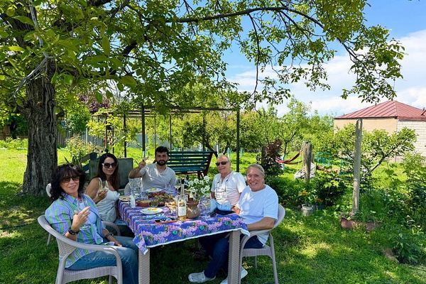Private Kakheti Tour: Manavi Fortress, Vellino Family Cellar and Home-Cooked Lunch