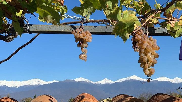 Private Kakheti Wine Day Trip from Tbilisi: Sighnaghi, Kvareli Cave and Lunch (4/12)