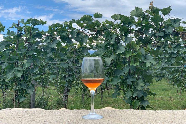 Private Kakheti Wine Day Trip from Tbilisi: Sighnaghi, Kvareli Cave and Lunch (5/12)