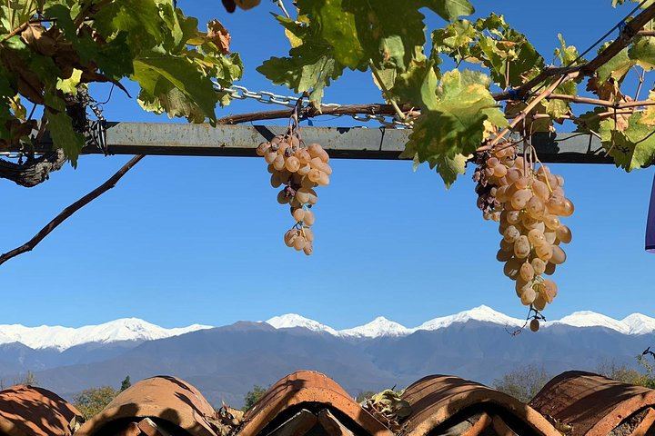 Private Kakheti Wine Day Trip from Tbilisi: Sighnaghi, Kvareli Cave and Lunch (4/12)