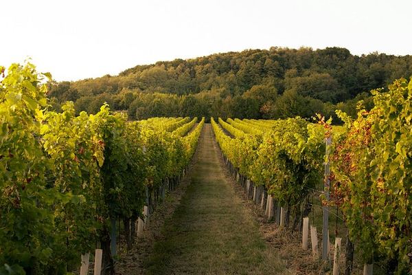 Private Kakheti Day from Tbilisi: Gremi, Kvareli Wine Cave and Sighnaghi