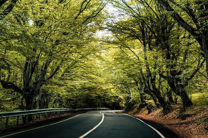 Private Kakheti Day from Tbilisi: Gremi, Kvareli Wine Cave and Sighnaghi (3/11)