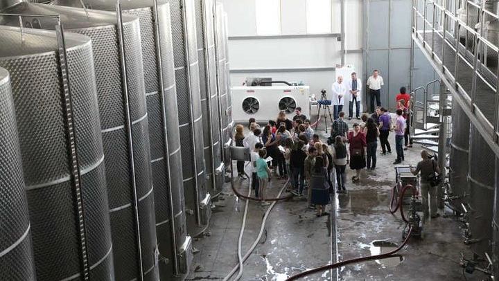 Private Kakheti Wine Tour from Tbilisi: KTW Wine House, Family Marani, Sighnaghi and Bodbe (1/12)