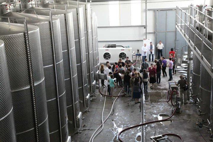 Private Kakheti Wine Tour from Tbilisi: KTW Wine House, Family Marani, Sighnaghi and Bodbe (1/12)