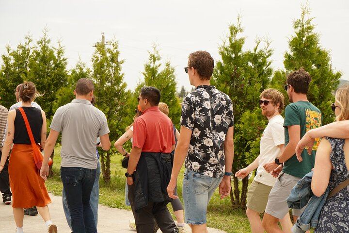 Kakheti Wine Day Tour from Tbilisi: 10 Tastings, Bodbe, Sighnaghi and Sunset Stop (8/12)