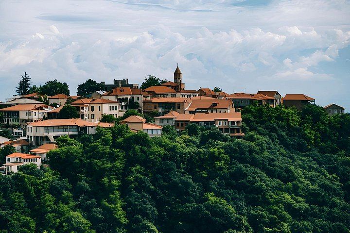 Kakheti Wine and Monastery Day Trip from Tbilisi: Qvevri Family Winery and Telavi (7/9)