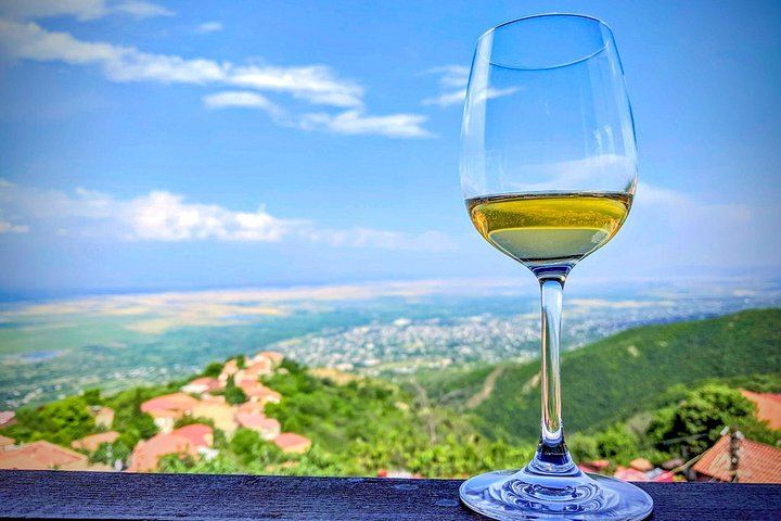 Kakheti Wine Tour for Beginners: Old Wine Factory, Family Winery and Artisan Cellar (3/5)