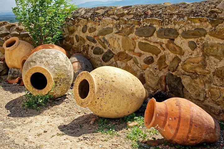 Kakheti Wine Tour for Beginners: Old Wine Factory, Family Winery and Artisan Cellar (2/5)