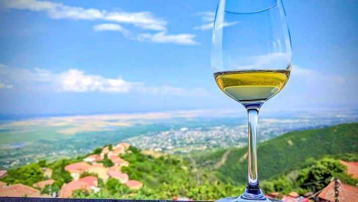 Kakheti Wine Tour for Beginners: Old Wine Factory, Family Winery and Artisan Cellar (3/5)