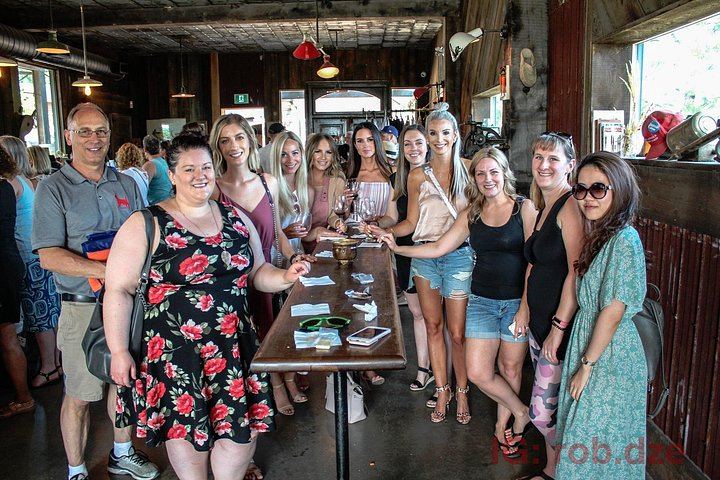 Kelowna or West Kelowna Afternoon Wine Tour by Mercedes Van, Up to 4 Hours (9/12)